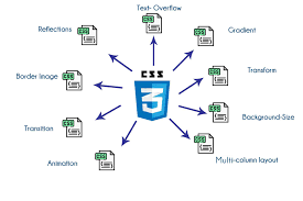 CSS Course